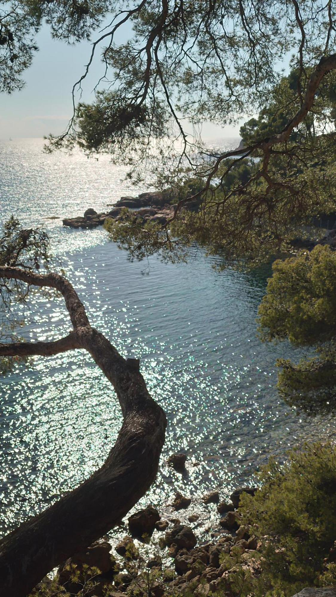 Les Pieds Tanques - Chambres D'Hotes - Calanque A Pieds Saint-Cyr-sur-Mer Exterior photo